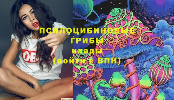 мяу мяу мука Надым