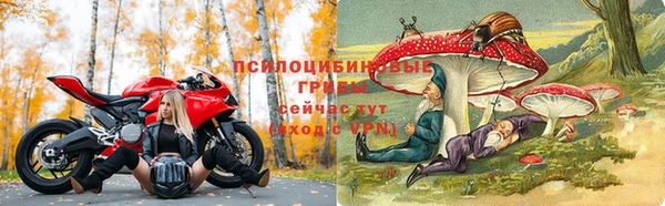 тгк Нефтегорск