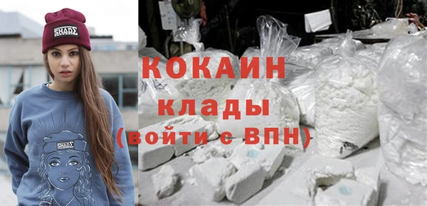 крисы Михайловск