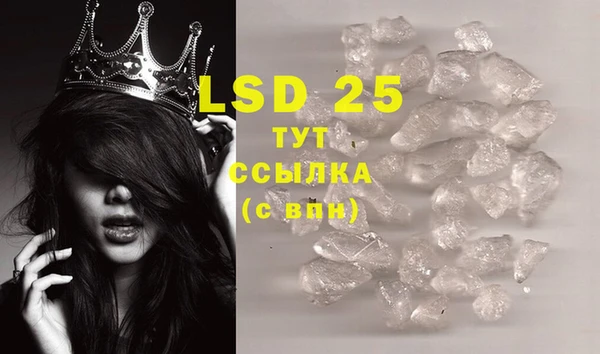 индика Беслан