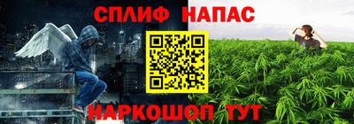 скорость Будённовск
