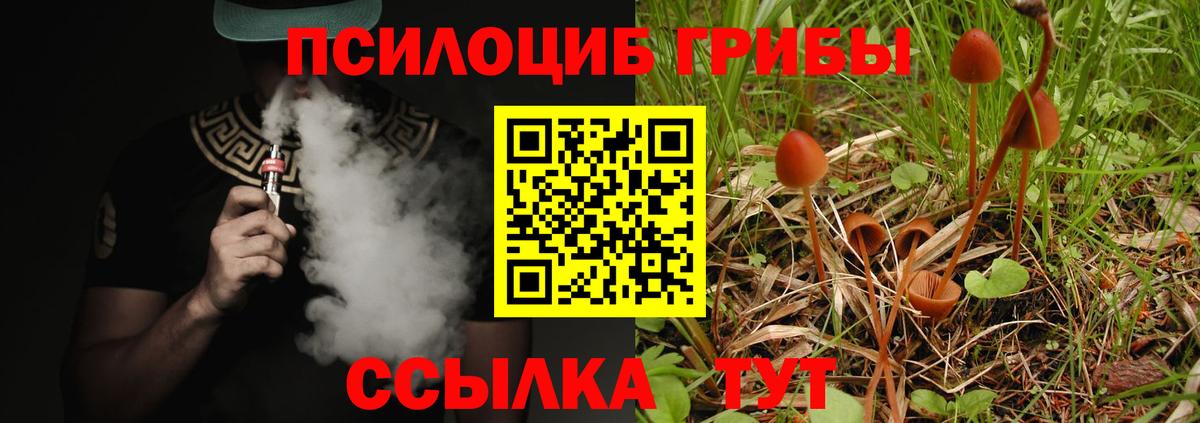 Северодвинск  сколько стоит  Вход с VPN  Галлюциногенные грибы Cubensis 